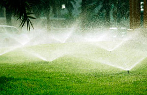 Sprinkler Systems